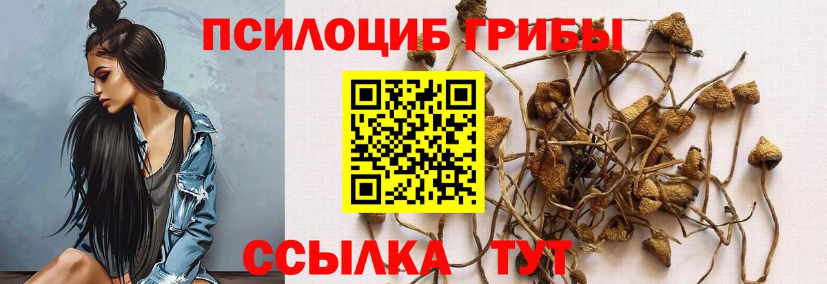 Псилоцибиновые грибы Psilocybe  Вход с VPN  Рославль  Псилоцибиновые грибы мухоморы 